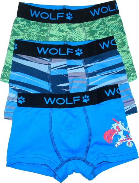 Dětské chlapecké trenkoslipy pro kluky WOLF sada 3 ks L21 - 767/19