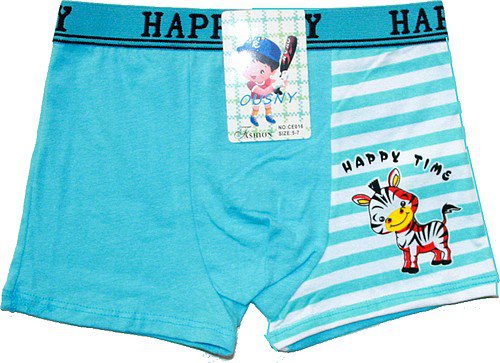 Chlapecké boxerky s motivem ZEBRY 166 - 778/164