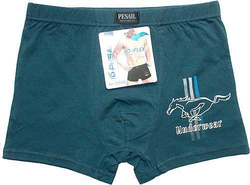 Pánské trenky, trenkoslipy 55462 - 753/66 vel. XXL