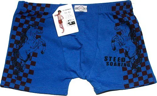 Dětské trenýrky bavlněné DVA KONĚ 4038/4045 modrá