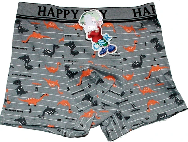 Chlapecké bambusové trenýrky motiv dinosauři pro malé kluky 8806 šedé 776/49