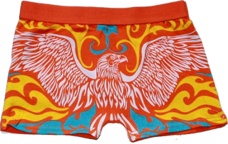 Dětské trenýrky chlapecké orlice 25759 oranž
