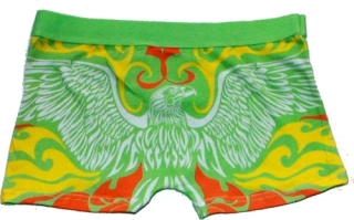 Dětské trenýrky chlapecké orlice 25759 zelené