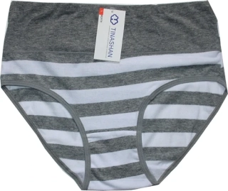 Dámské kalhotky do pasu PRUHY M2878 ŠE